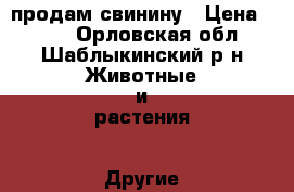 продам свинину › Цена ­ 230 - Орловская обл., Шаблыкинский р-н Животные и растения » Другие животные   . Орловская обл.